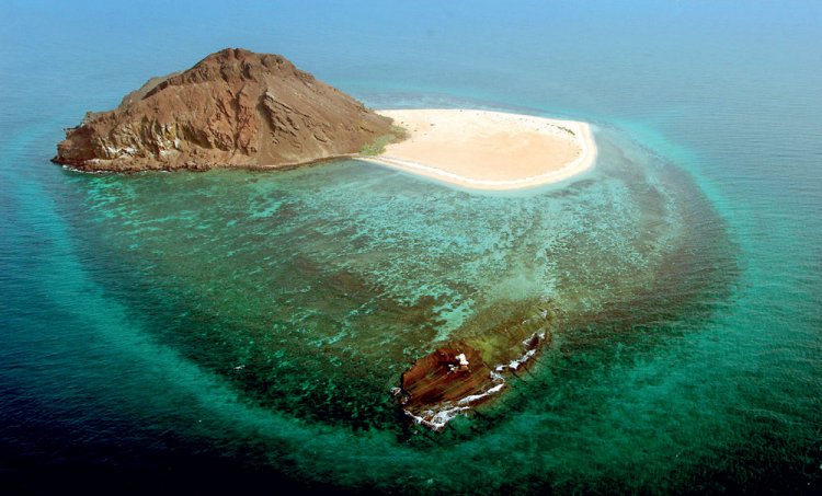 فنادق جزيرة فرسان